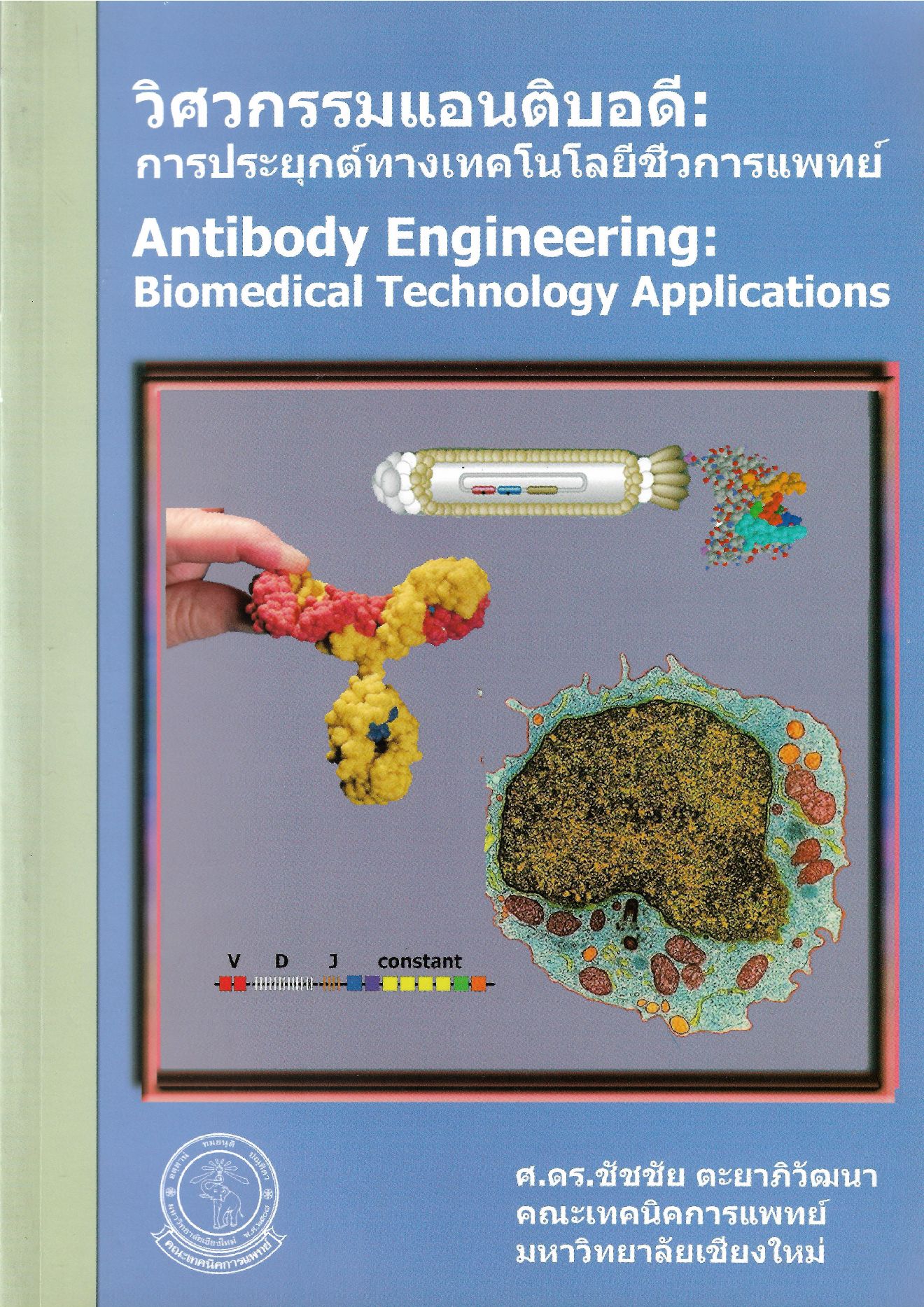 วิศวกรรมแอนติบอดี (antibody engineering) การประยุกต์ทางเทคโนโลยีชีวการแพทย์