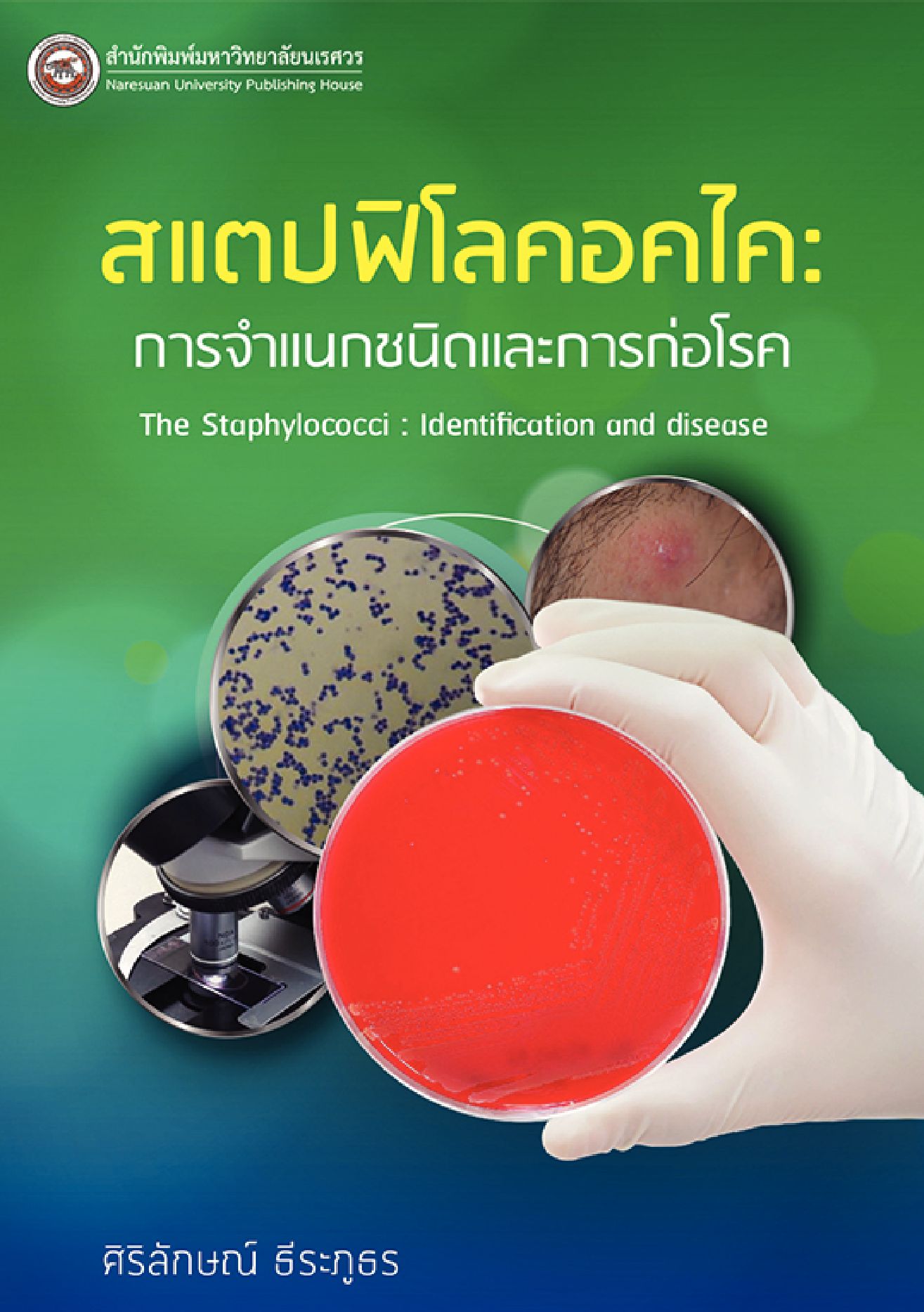 สแตปฟิโลคอคไค การจำแนกชนิดและการก่อโรค