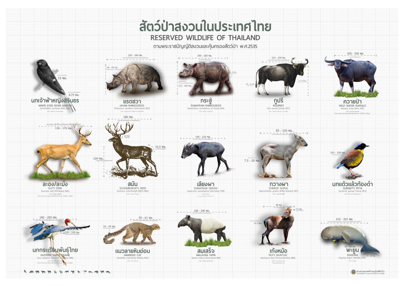 หนังสือภาพสัตว์ป่าสงวน 2535