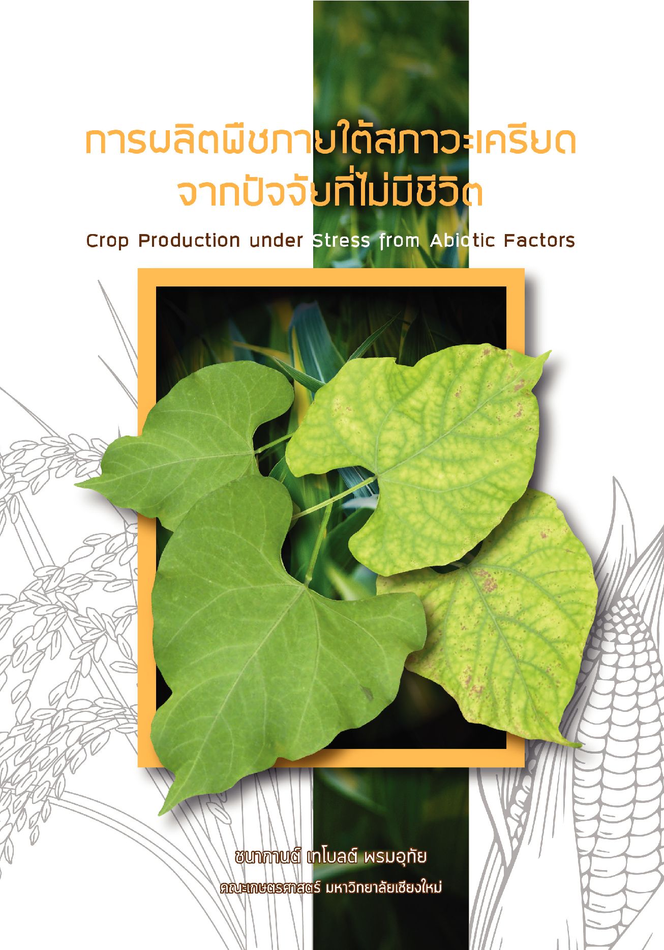 การผลิตพืชภายใต้ภาวะเครียด Crop Production under Abiotic Stress