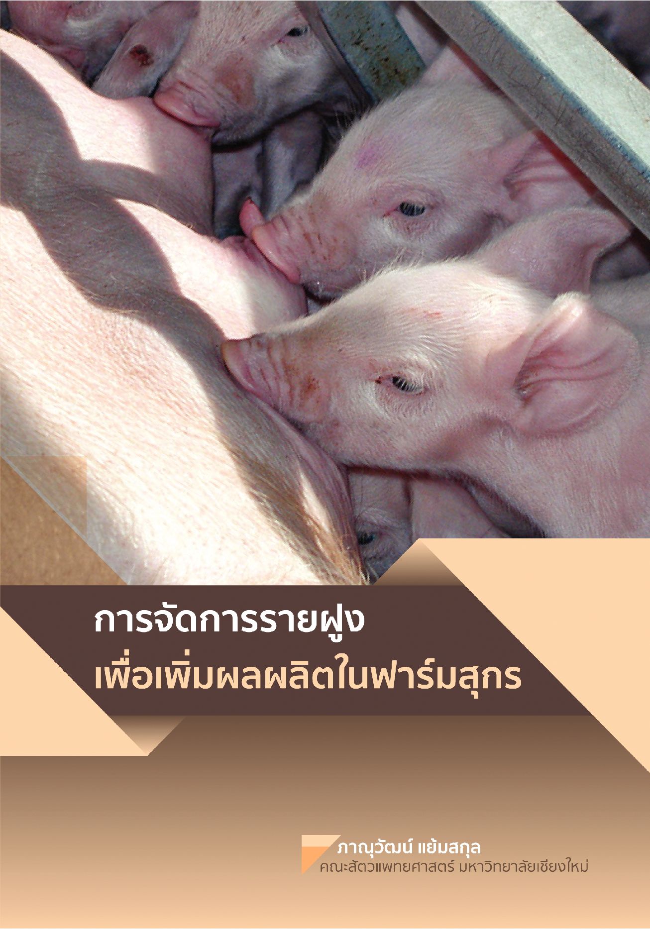 การจัดการรายฝูงเพื่อเพิ่มผลผลิตในฟาร์มสุกร