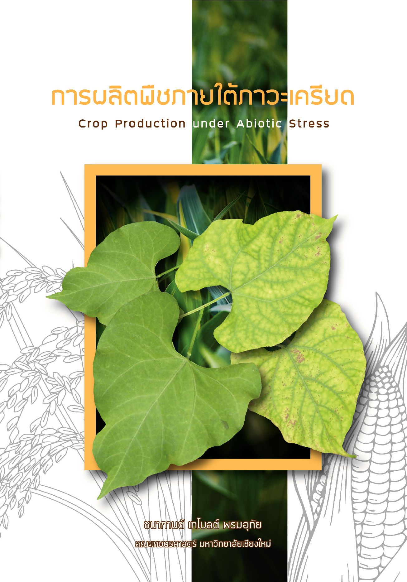 การผลิตพืชภายใต้ภาวะเครียด Crop Production under Abiotic Stress